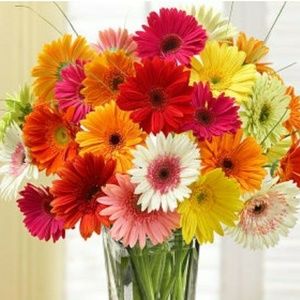 Meet your Posher, Katrina